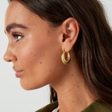 Aesthetic Twisted Earrings Gold