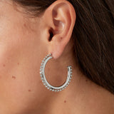 Basic Hoops with Balls Earrings Silver