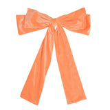 🎁 Cute Hair Bow Velvet Orange (100% off)