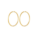 Hoops Medium Thick Earrings Gold